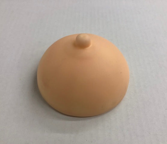 https://cdn.shopify.com/s/files/1/0023/6424/4037/products/1016-PSAEA.png?v=1709159656