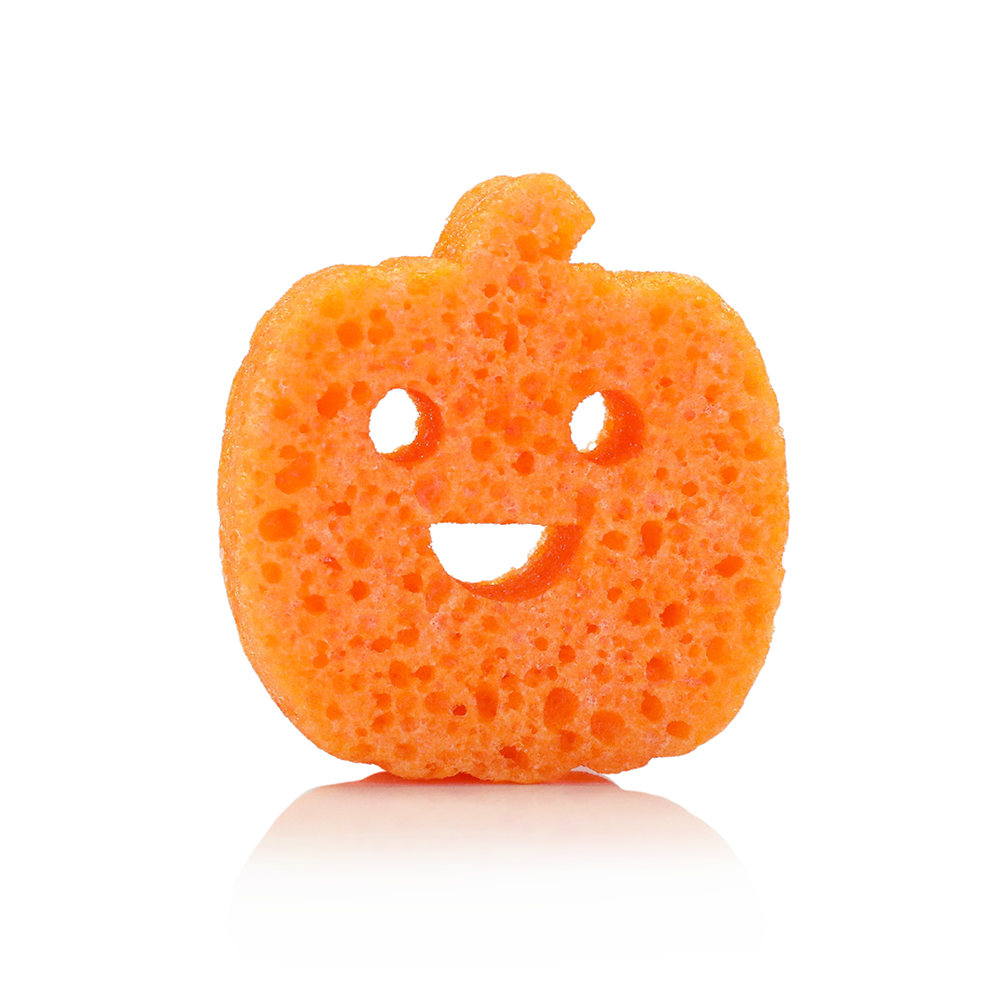 https://cdn.xorosoft.io/xo10333/20260810101430_A15EED76.png