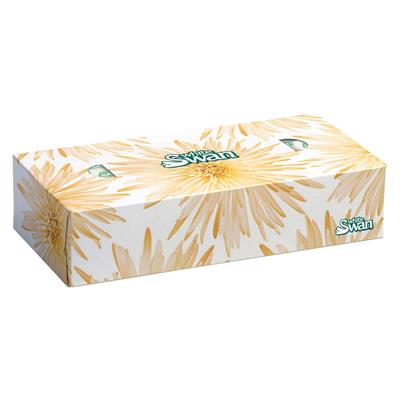 Facial Tissue 2-ply White 100 sheets/box